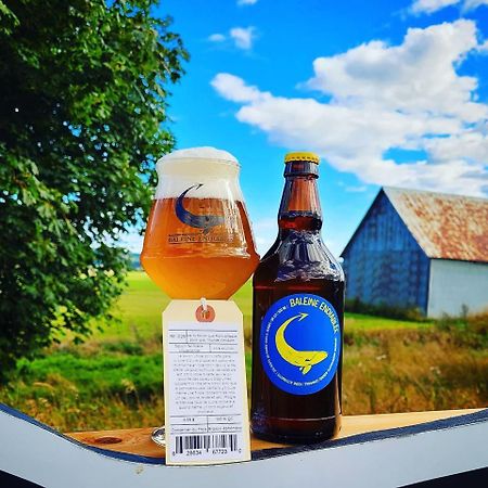 La Baleine Endiablee Microbrasserie Riviere-Ouelle Екстер'єр фото